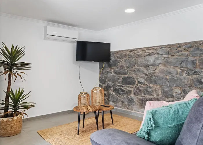 Camelia By Homie Funchal (Madeira)